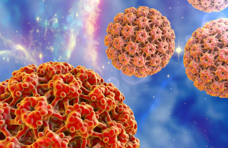 Virus del papilloma umano