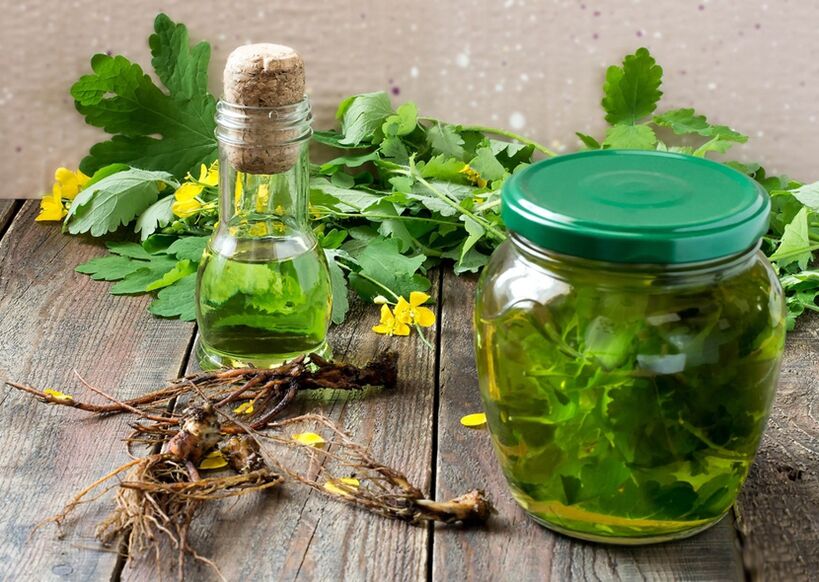Infuso di celidonia per combattere i papillomi